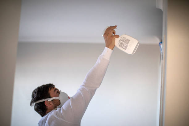 Best Residential Mold Remediation in Blue Ridge, AL